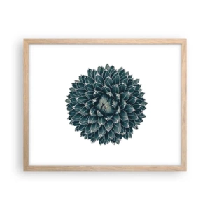 Plakat w ramie jasny dąb - Gwiazda pustyni - 50x40 cm
