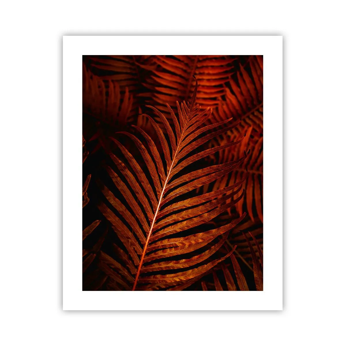 Plakat - Żar życia - 40x50 cm