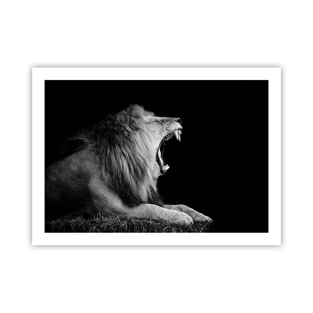 Plakat - Bez żadnych wątpliwości - 70x50 cm