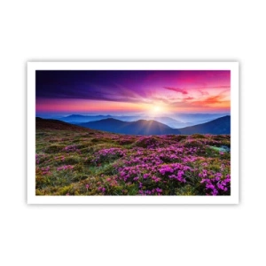 Plakat - Ziół zapachniały świeże pęki od niw - 91x61 cm