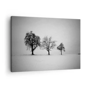 Obraz na płótnie - Trzy drzewa na zaśnieżonym polu w monochromatycznym stylu - 70x50cm - O czym śnią? - Nowoczesna dekoracja ścienna do salonu i sypialni ARTTOR