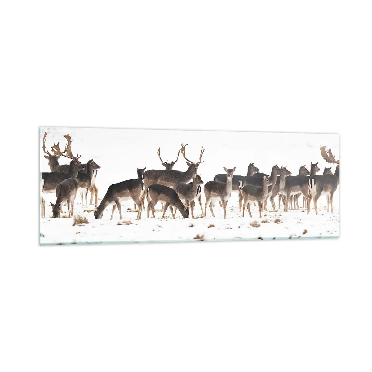 Obraz na szkle - Idą święta? - 90x30 cm