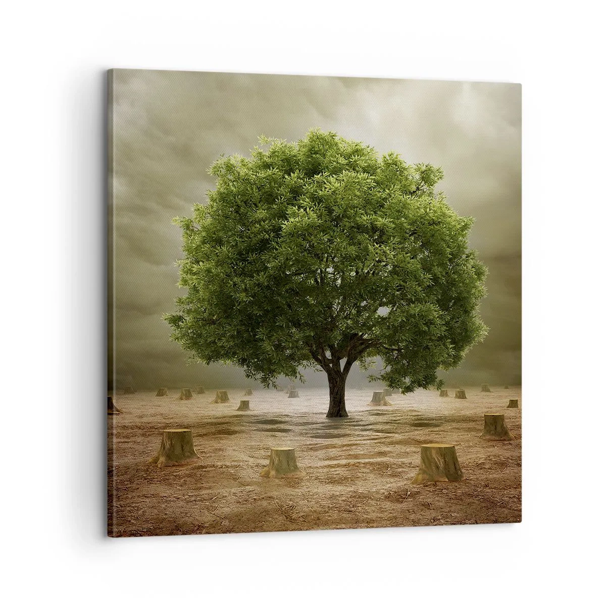 Obraz na płótnie - Cała nadzieja - 60x60 cm