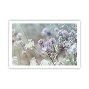 Plakat - Słodkie filigrany ziół - 91x61 cm