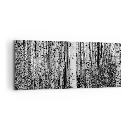 Obraz na płótnie - Brzozowa kolumnada - 100x40 cm