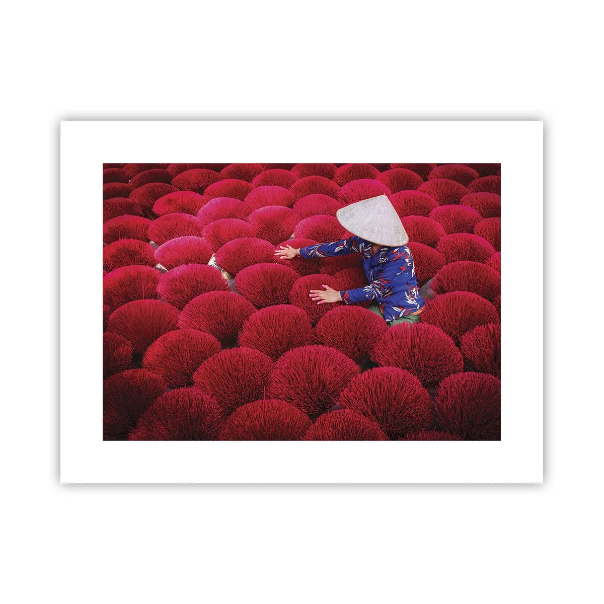 Plakat - Na ryżowym polu - 40x30 cm