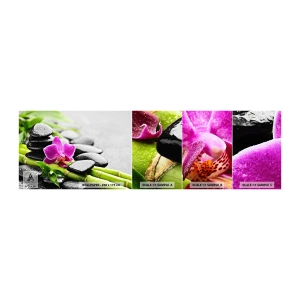Fototapeta Próbka Samoprzylepna Deluxe Sticker - W spokojnej równowadze - Kwiaty, Orchidea, Storczyk - 100x30 cm