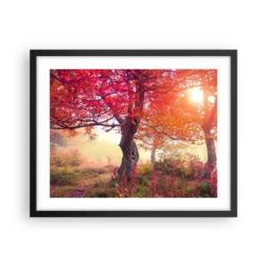 Plakat w czarnej ramie - Szał rozkwitu - 50x40 cm