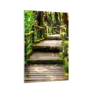 Obraz na szkle - Drewniany most porośnięty mchem w tropikalnym lesie deszczowym - 70x100cm - Korytarzem zieleni - Nowoczesna dekoracja ścienna do salonu i sypialni ARTTOR