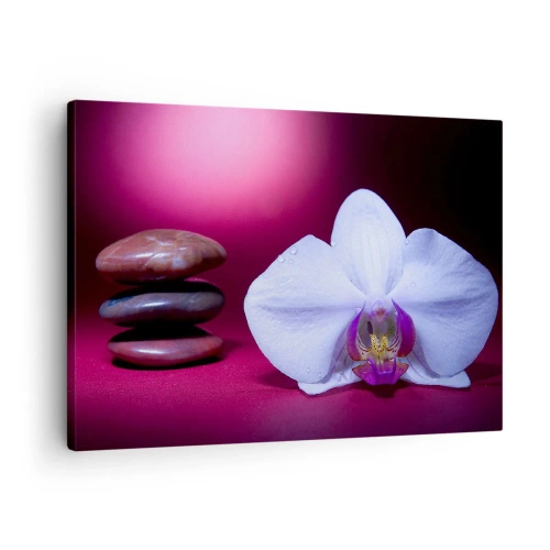 Obraz na płótnie - Studium świeżości w fiolecie - Biała orchidea i kamienie na różowym tle - 70x50cm