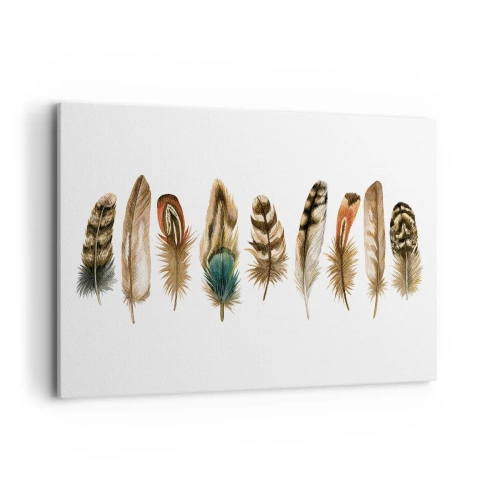 Obraz na płótnie - Dekoracyjny motyw kolekcji różnorodnych piór - 120x80cm - Pierzasta wariacja - Nowoczesna dekoracja ścienna do salonu, kuchni i sypialni ARTTOR