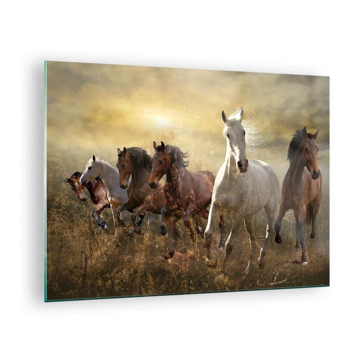 Obraz na szkle - Stado koni galopujące w promieniach zachodzącego słońca - 70x50cm - Niech żyje wolność! - Nowoczesna dekoracja ścienna do salonu i sypialni ARTTOR