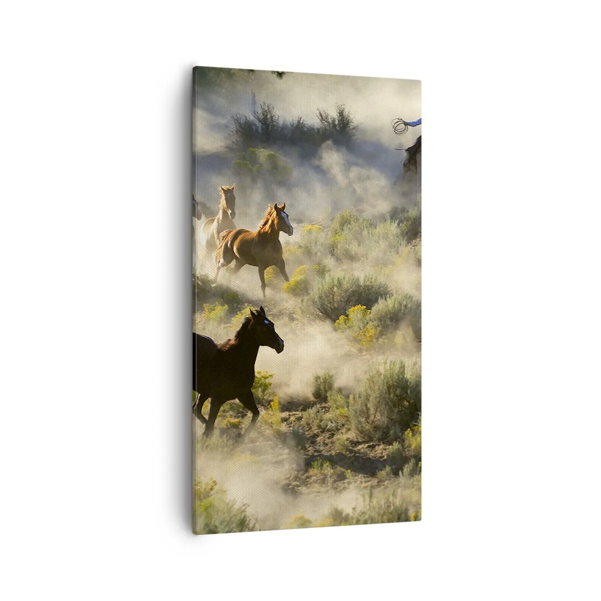 Obraz na płótnie - Rywalizacja - wolność czy męska siła? - 55x100 cm