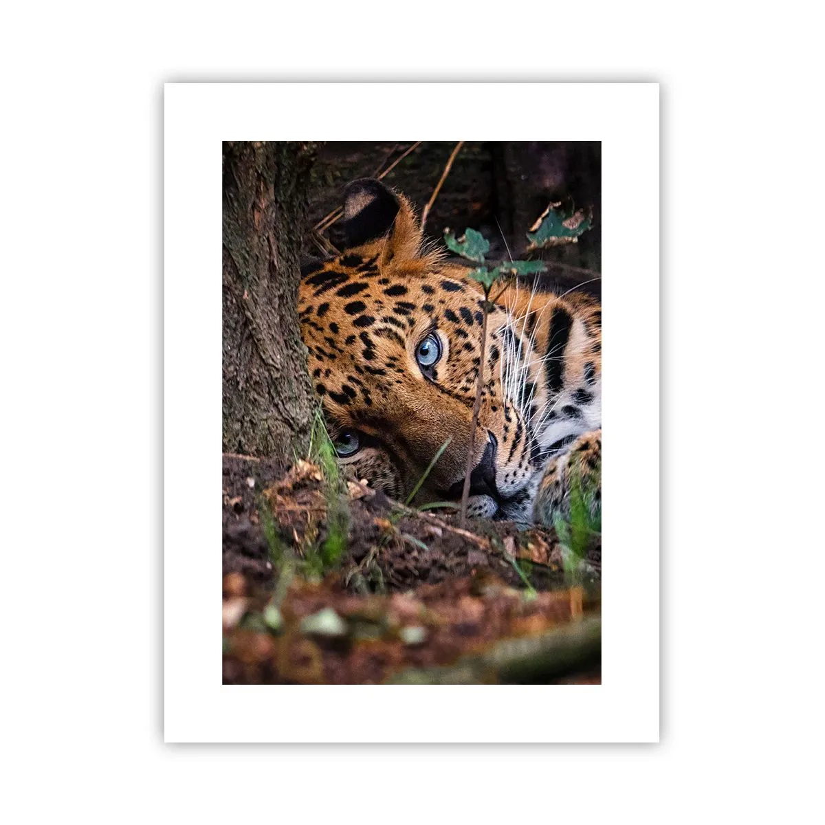 Plakat - Zaufaj mi - 30x40 cm