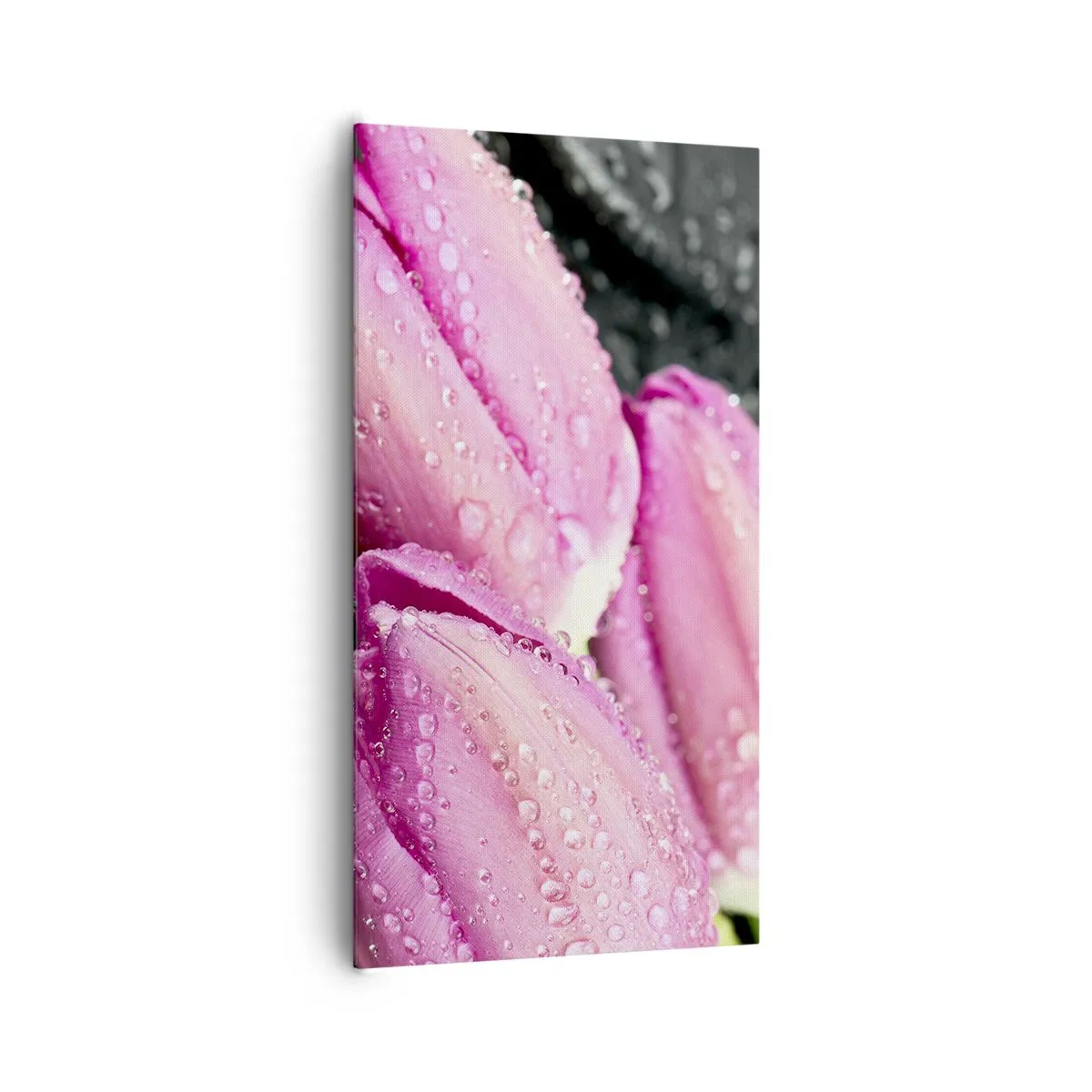 Obraz na płótnie - Liliowa trójka na czarnym kamieniu - 65x120 cm