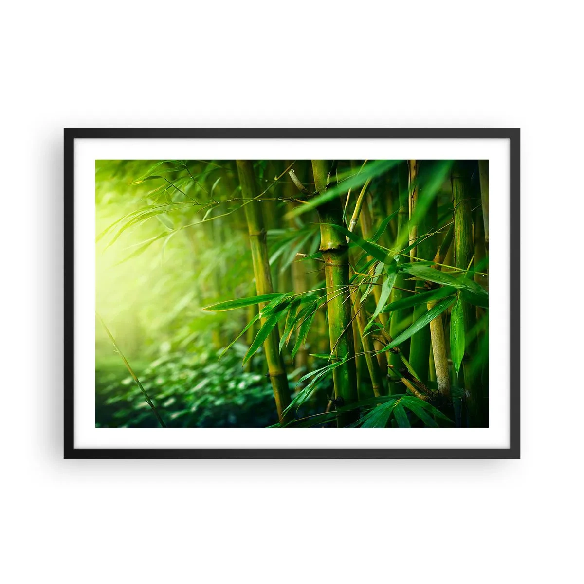 Plakat w czarnej ramie - Zielony bambusowy las w delikatnym świetle - 70x50cm - Poznać zieleń samą w sobie - Nowoczesna dekoracja ścienna do salonu i sypialni ARTTOR