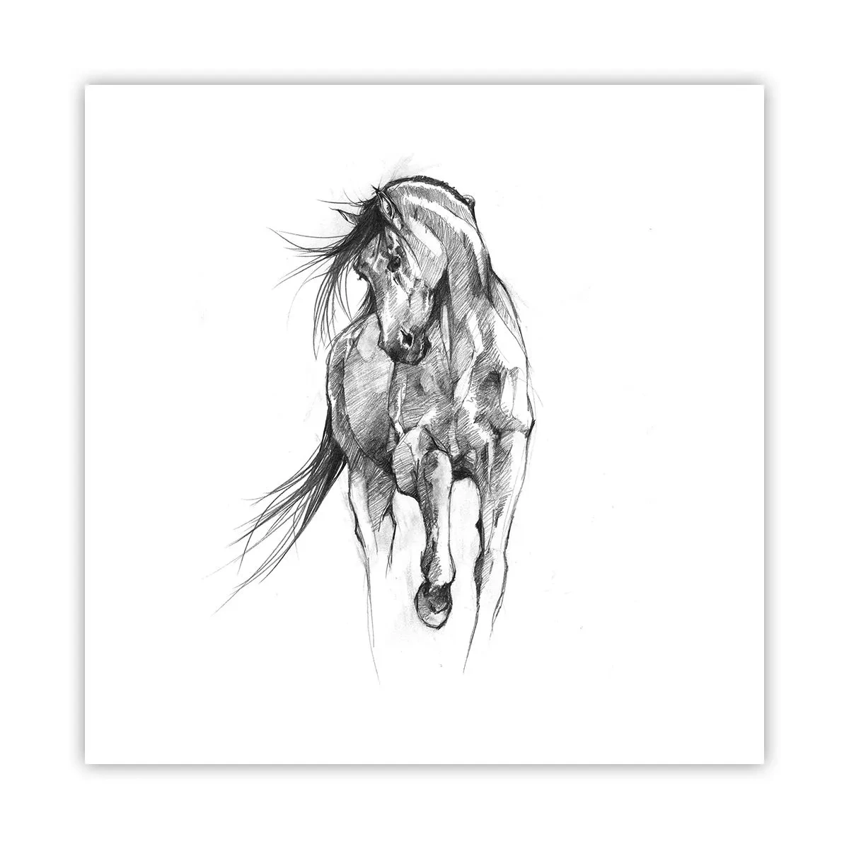 Plakat - We wdzięcznym kłusie - 50x50 cm
