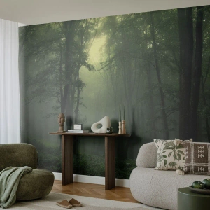 Fototapeta Samoprzylepna Deluxe Sticker - Zanim się obudzi - Krajobraz, Las, Natura - 100x70 cm