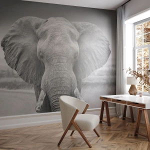 Fototapeta Premium Canvas - Witaj w moim świecie - Słoń, Afryka, Zwierzęta - 450x315 cm