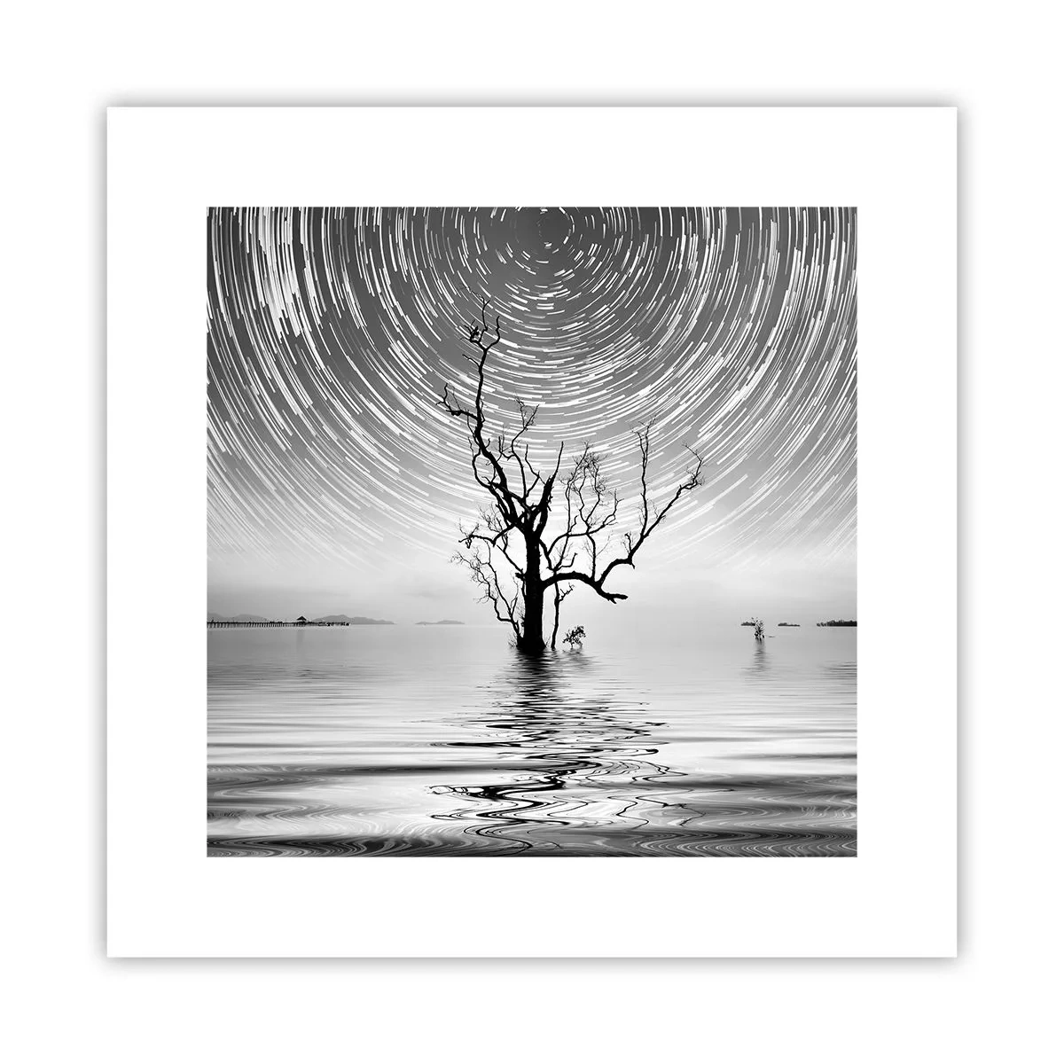 Plakat - Symfonia natury - 30x30 cm