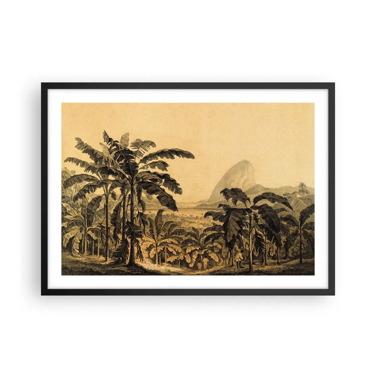 Plakat w czarnej ramie - Rysunek bananowców na tle tropikalnego krajobrazu - 70x50cm - w kolonialnym klimacie - Nowoczesna dekoracja ścienna do salonu i sypialni ARTTOR