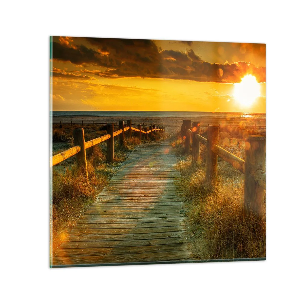 Obraz na szkle - Skąpane w starym złocie - 60x60 cm