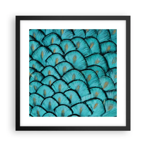 Plakat w czarnej ramie - Wielka gala piór - 40x40 cm