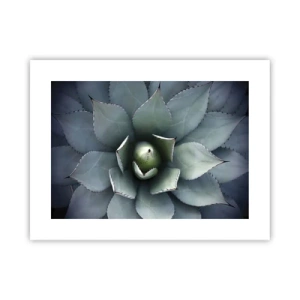 Plakat - Wabi i przestrzega - 40x30 cm