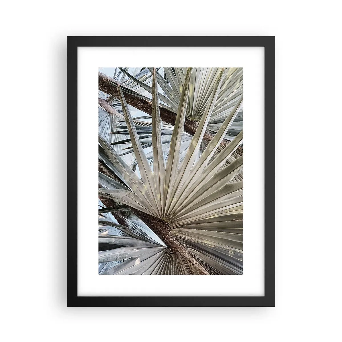 Plakat w czarnej ramie - Wachlarze w tropikach - 30x40 cm