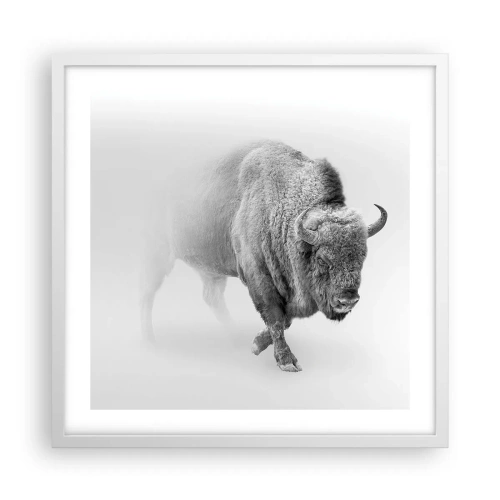 Plakat w białej ramie - Król prerii - 50x50 cm