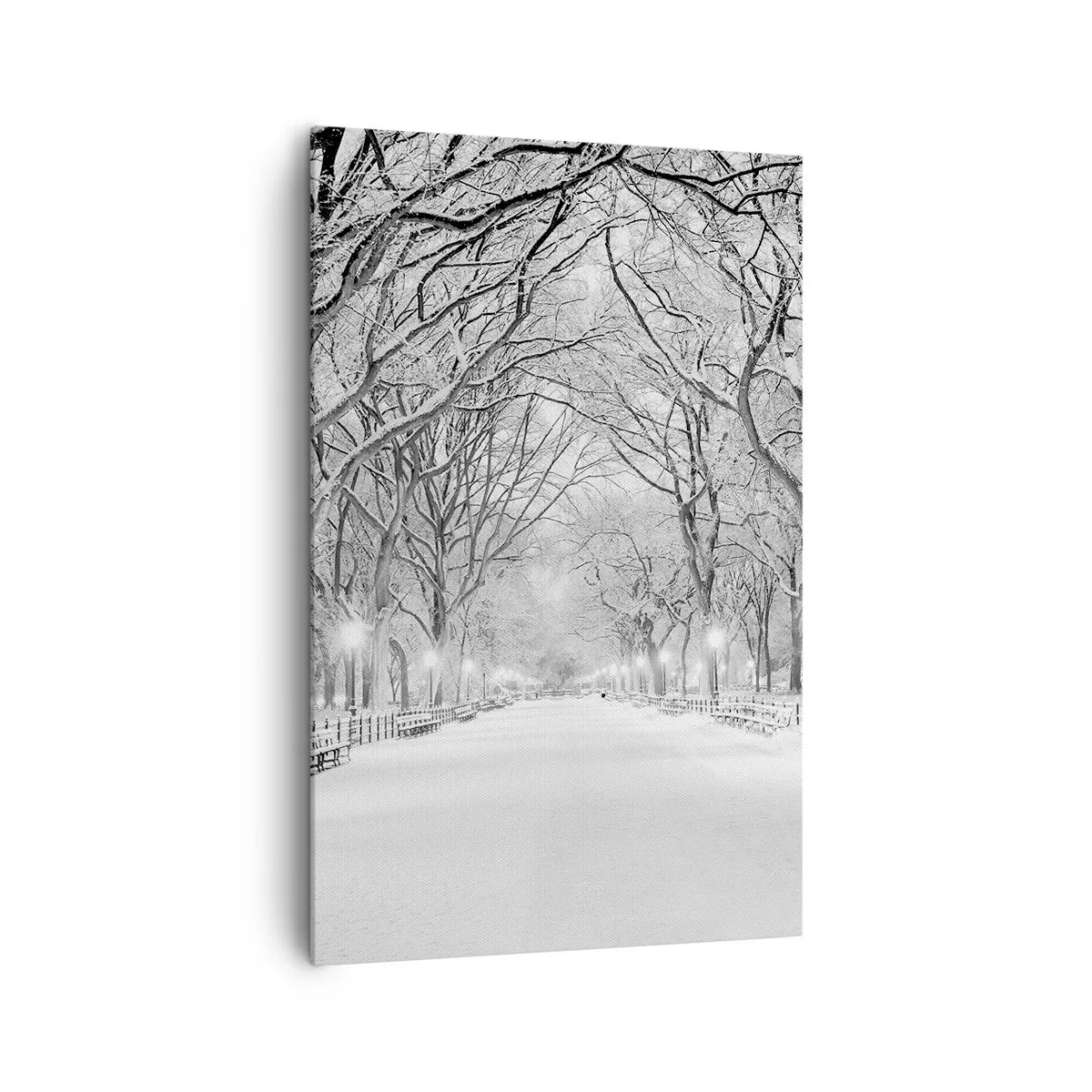 Obraz na płótnie - Zimowa alejka z drzewami pokrytymi śniegiem w monochromatycznym ujęciu - 80x120cm - Cztery pory roku – zima - Nowoczesna dekoracja ścienna do salonu i sypialni ARTTOR