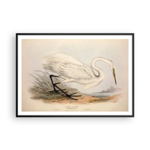 Plakat w czarnej ramie - Rysunek białej czapli na tle naturalnego krajobrazu - 100x70cm - Pani na szuwarach - Nowoczesna dekoracja ścienna do salonu i sypialni ARTTOR