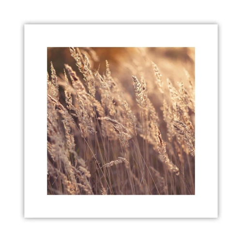 Plakat - Gotowe na powitanie jesieni - 30x30 cm