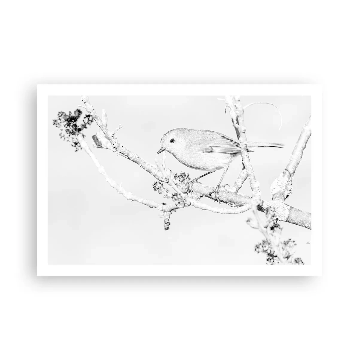 Plakat - Zimowy poranek - 91x61 cm