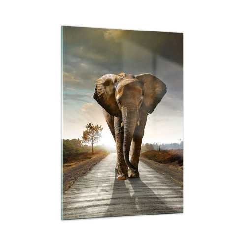 Obraz na szkle - Słoń spacerujący po drodze o zachodzie słońca - 50x70cm - I wcale nie w składzie porcelany - Nowoczesna dekoracja ścienna do salonu, kuchni i sypialni ARTTOR