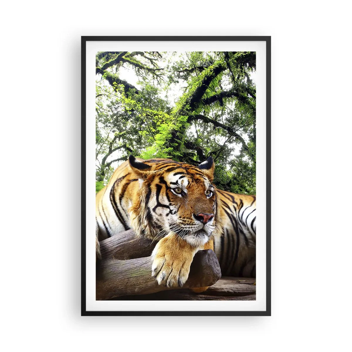 Plakat w czarnej ramie - Z wyrazami szacunku - 61x91 cm