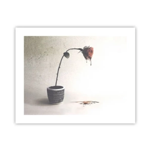 Plakat - Rosa dolorosa - 50x40 cm