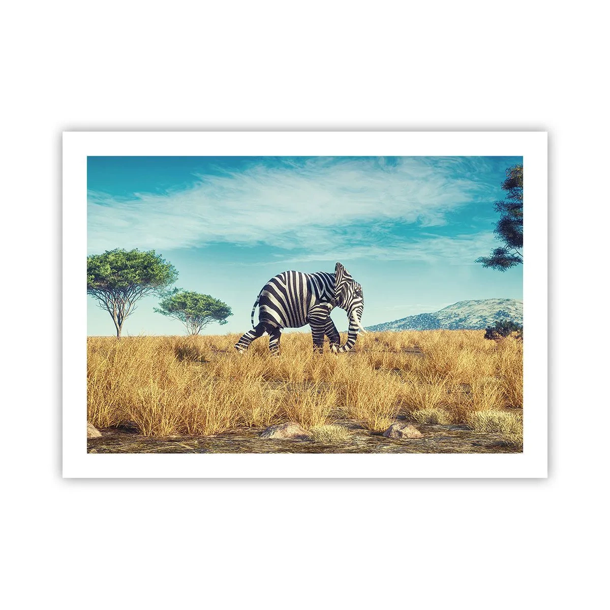 Plakat - Szarość już niemodna - 70x50 cm