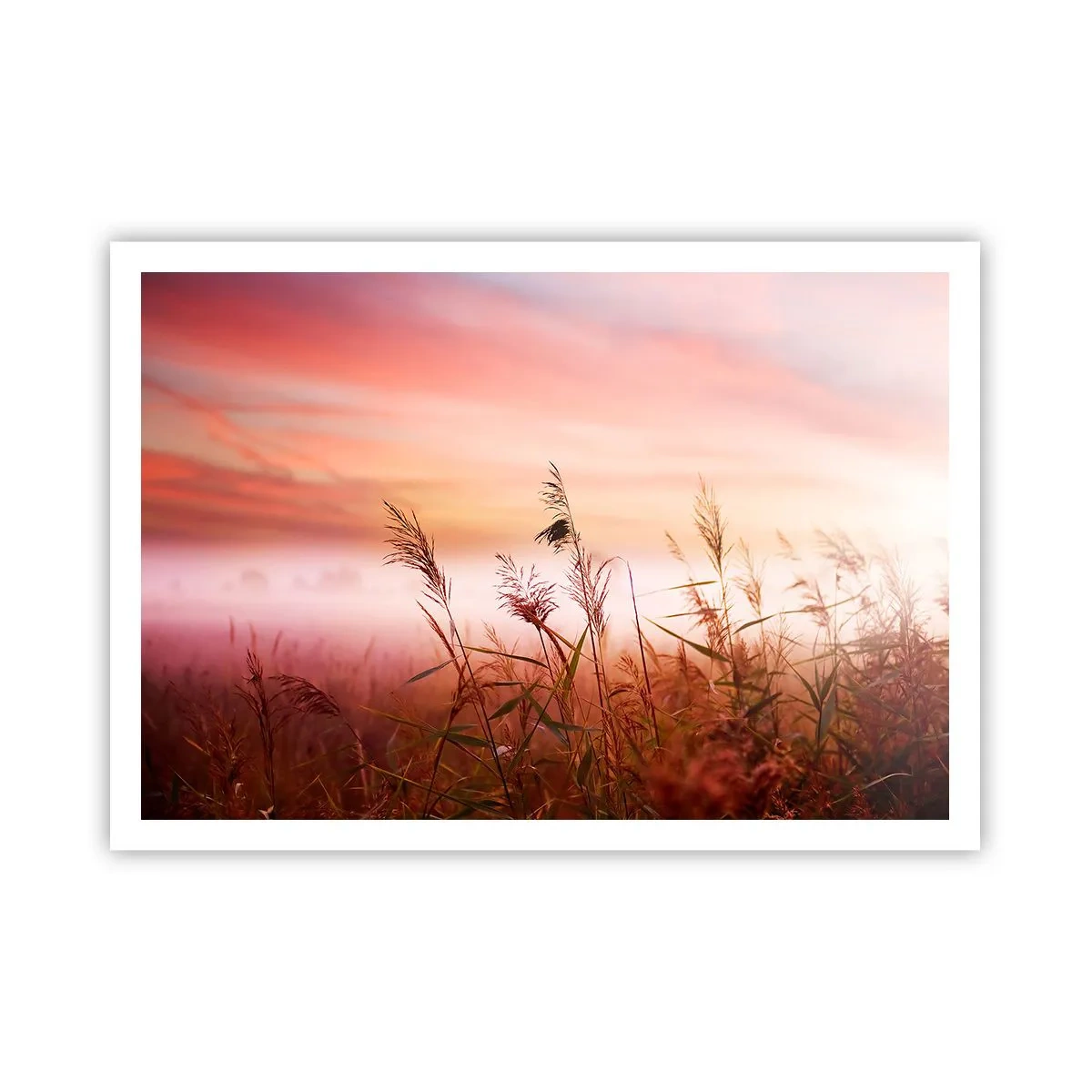 Plakat - Pole traw na tle malowniczego zachodu słońca - 100x70cm - Latawce, dmuchawce, wiatr - Nowoczesna dekoracja ścienna do salonu i sypialni ARTTOR