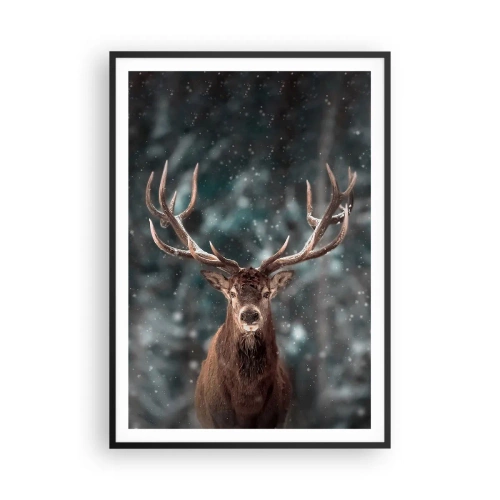 Plakat w czarnej ramie - Król lasu ukoronowany - 70x100 cm
