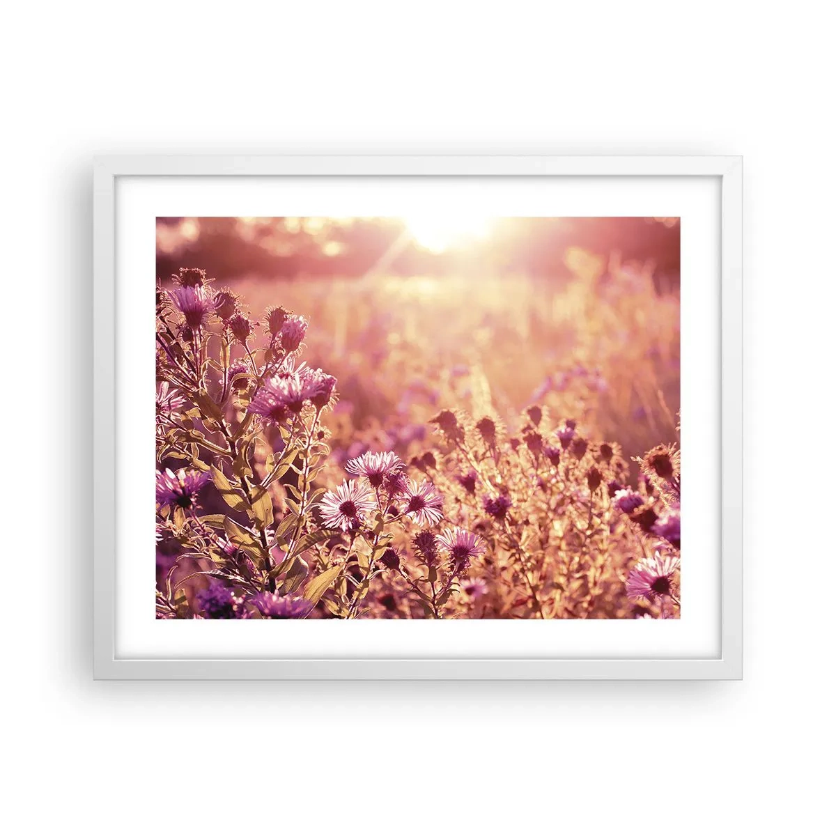 Plakat w białej ramie - Przed odejściem lata - 50x40 cm