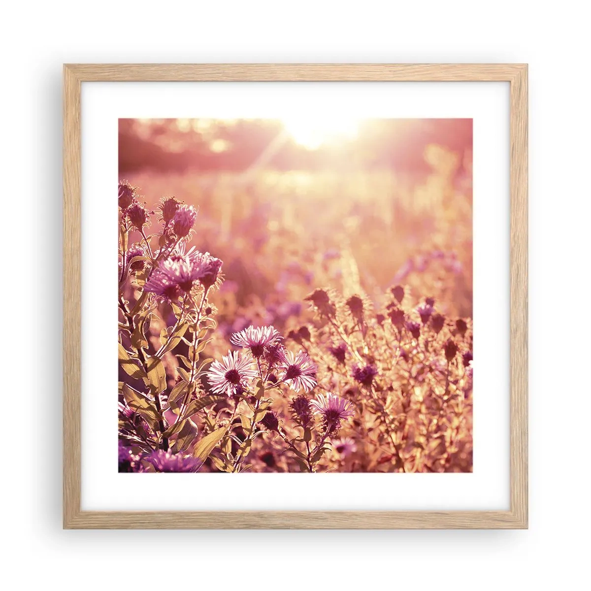 Plakat w ramie jasny dąb - Przed odejściem lata - 40x40 cm