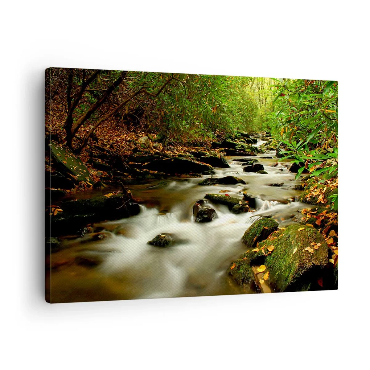 Obraz na płótnie - Leśny strumień płynący pomiędzy kamieniami otoczony zielenią - 70x50cm - Jak płynne srebro - Nowoczesna dekoracja ścienna do salonu i sypialni ARTTOR