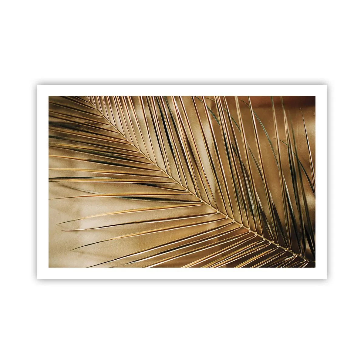 Plakat - Naturalna kolumnada - 91x61 cm