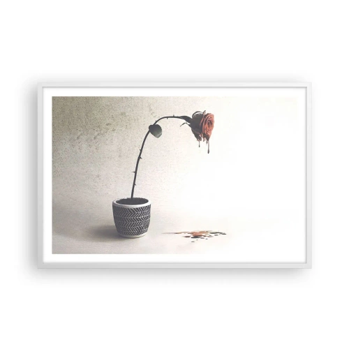 Plakat w białej ramie - Rosa dolorosa - 91x61 cm