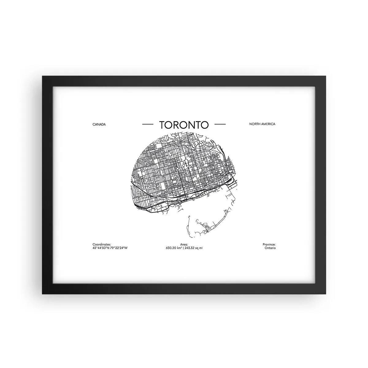 Plakat w czarnej ramie - Anatomia Toronto - 40x30 cm