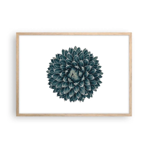 Plakat w ramie jasny dąb - Gwiazda pustyni - 70x50 cm