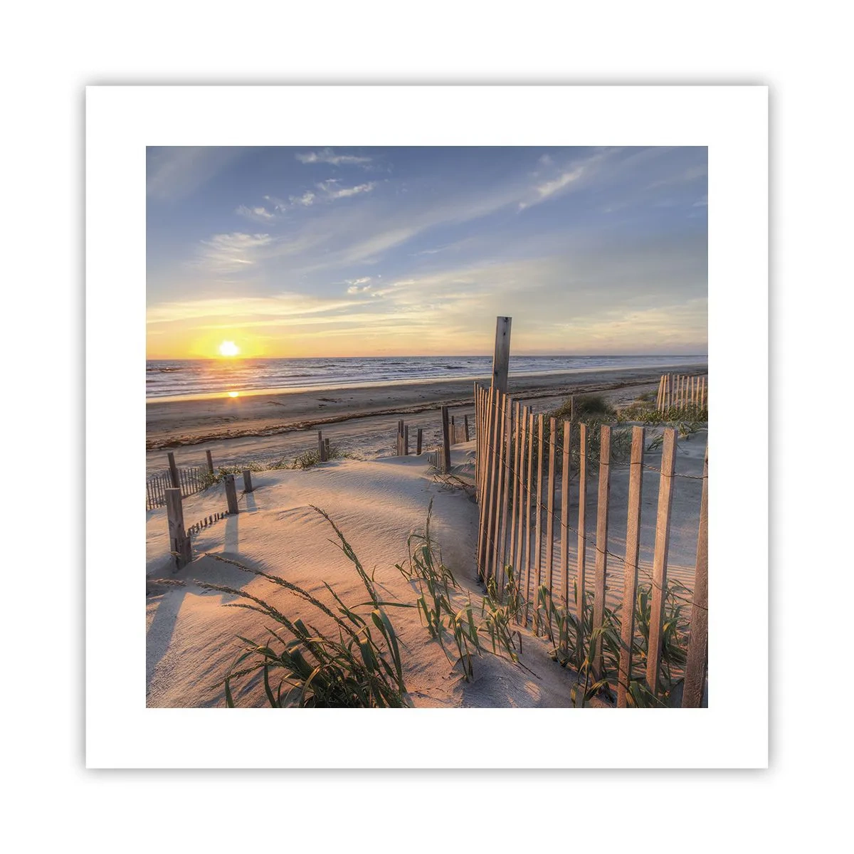 Plakat - Blask i cień wiatru - 40x40 cm