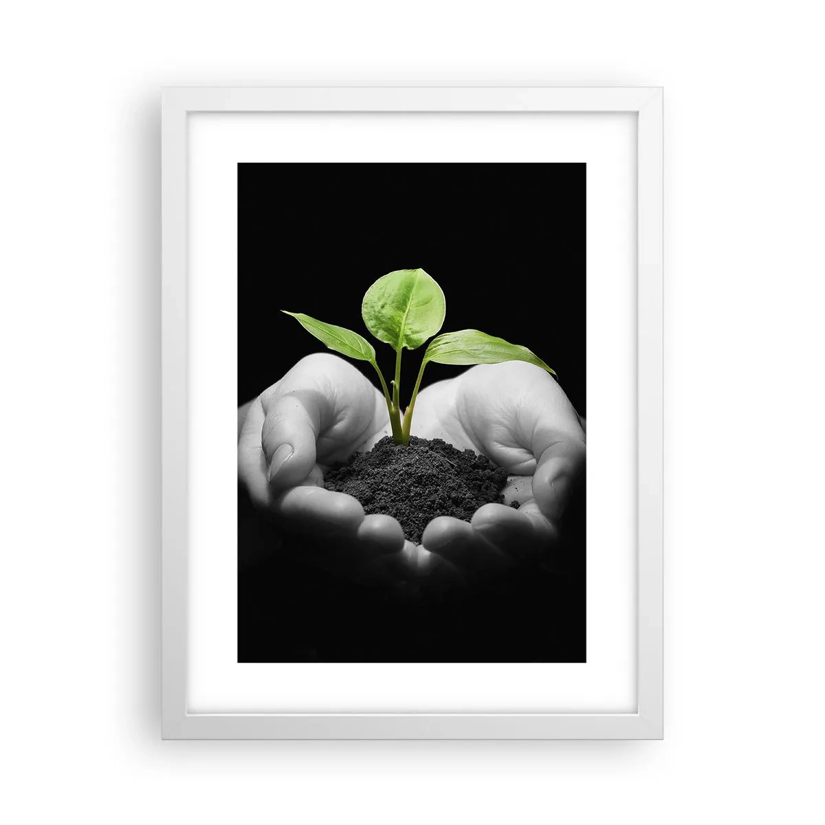 Plakat w białej ramie - Kocham naturę, chronię ją - 30x40 cm