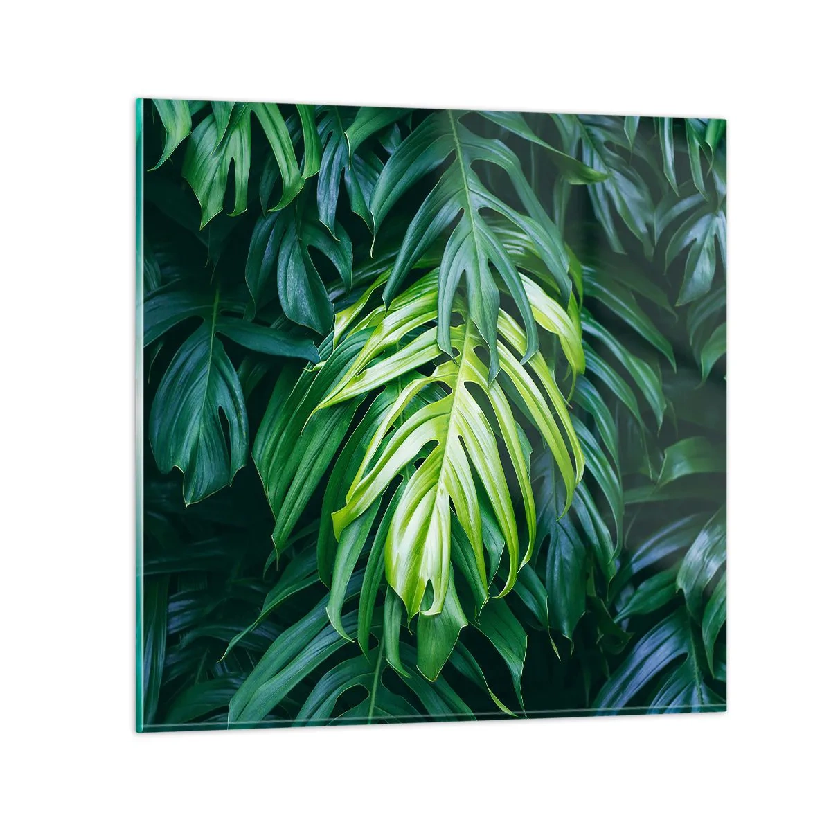 Obraz na szkle - Zanurzyć się w świeżości - 50x50 cm